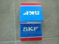 6204 CSAPÁGY