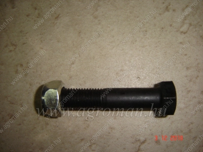AG Kés csavar M16x100